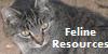 Feline-Resources's avatar
