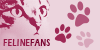 felinefans's avatar