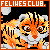 FelinesClub's avatar