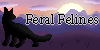 Feral-Felines's avatar