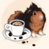 FeretStudios's avatar