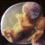 fetusgonewild's avatar