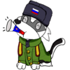 Figaro-17's avatar