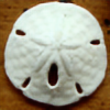 Fihyn's avatar