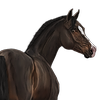 FinelineHS's avatar