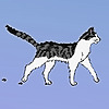 FinneanArt's avatar