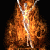 fire-sprite's avatar