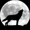 Fire-Wolf10's avatar