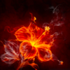 FireAsterin's avatar