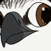 fish-birb's avatar