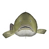 fishfolkart's avatar