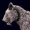 Fiyerus's avatar