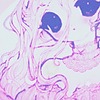 fiyunae's avatar
