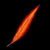 flameshaft's avatar
