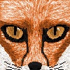 FlameZeFox's avatar