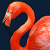 flamingochick's avatar