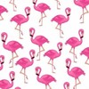 Flamingori's avatar
