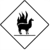 flammable-llama's avatar