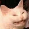 FlavorfulAnchovy's avatar