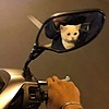 Flchbck's avatar