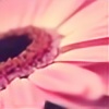 fleurenard's avatar