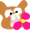 flowermuncher's avatar