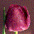 FlowerPotty's avatar