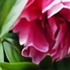 flowershot400's avatar