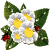 Flowerspls's avatar