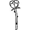 Flowervio's avatar