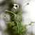 flowery-zim's avatar