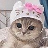Fluffy-shibe's avatar
