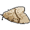 fluffybundreams's avatar
