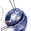 FluffySpiderz's avatar