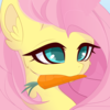 FluttershyHiker's avatar