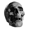 flvtterlies's avatar
