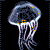 flying-jellyfish's avatar