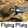 Flying-platy's avatar