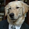 ForceOfCourse's avatar