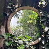 forestbraid's avatar