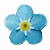 forget-me-knot's avatar