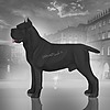 FORTEZZZA's avatar