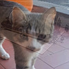fotoliptofono's avatar