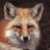 fox4's avatar