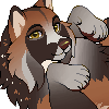 foxcider's avatar