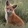 FoxesAndNinjas's avatar