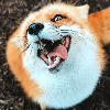 Foxheart85's avatar