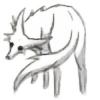 foxidae's avatar