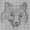 foxlovekinder's avatar