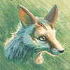 Foxofwonders's avatar